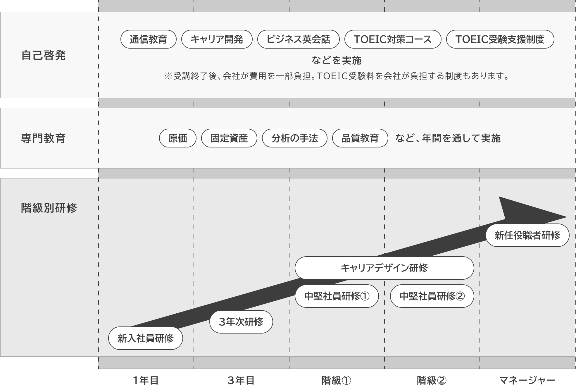 自己啓発、専門教育、階級別研修を通じて、社員のスキルアップを支援。各段階で新たな能力を育成するカリキュラムを提供します。